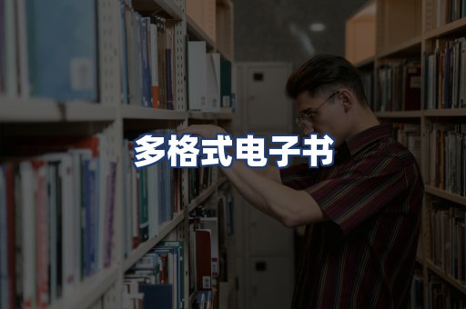 多格式电子书